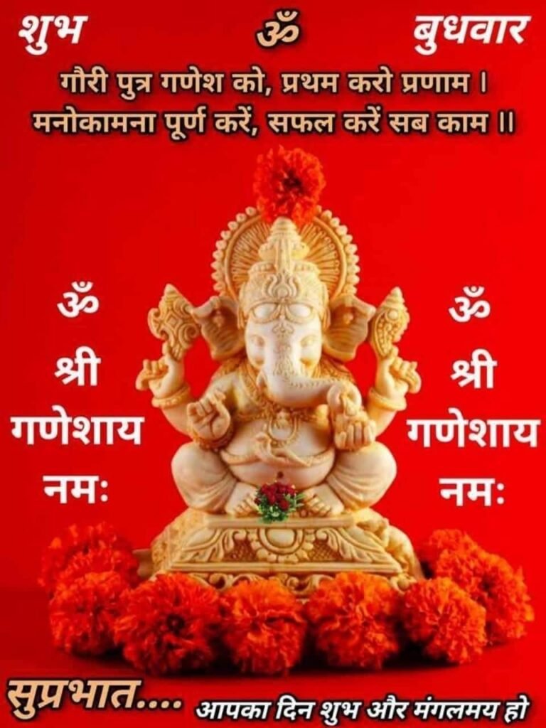 happy wednesday good morning
