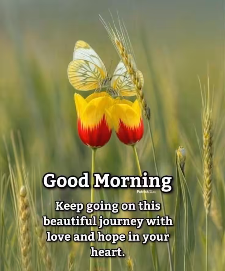 Good morning wishes images with quotes