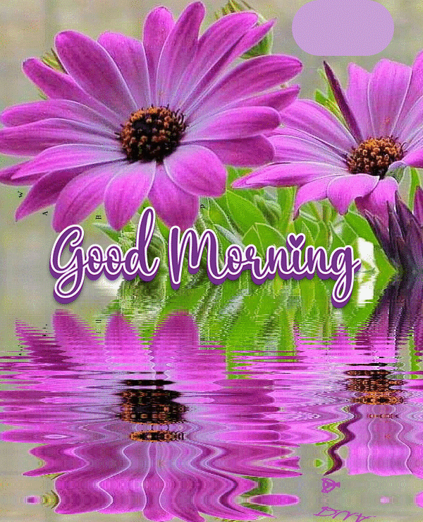 Adorable Good Morning Gif