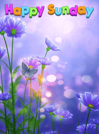 Animated Sunday Gif