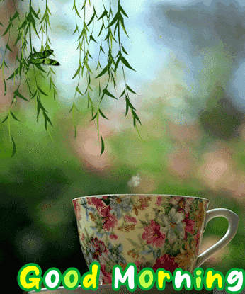 Beautiful Coffee Good Morning Gif Images