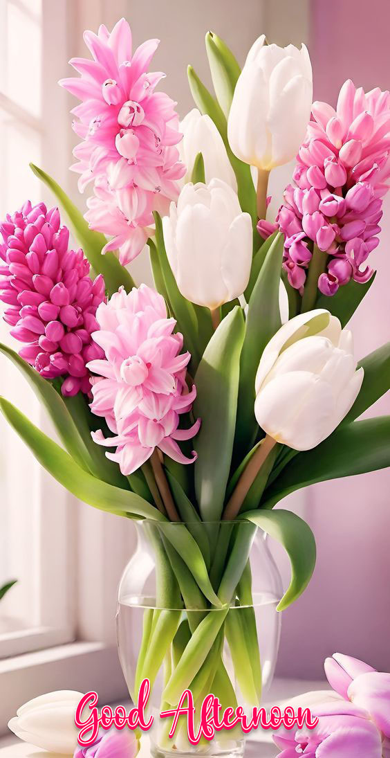 Beautiful good afternoon images
