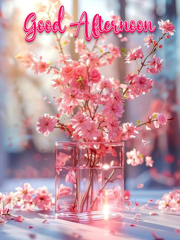 Beautiful good afternoon images