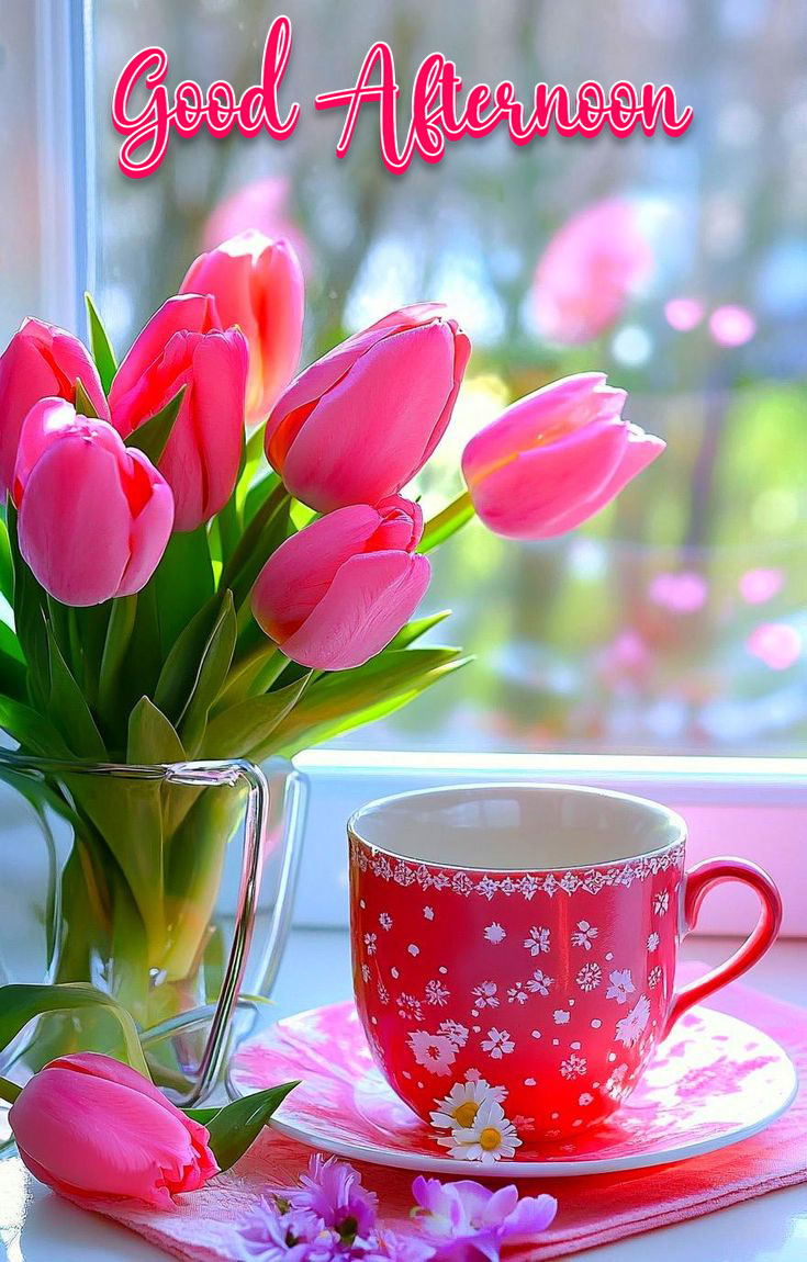 Beautiful good afternoon images