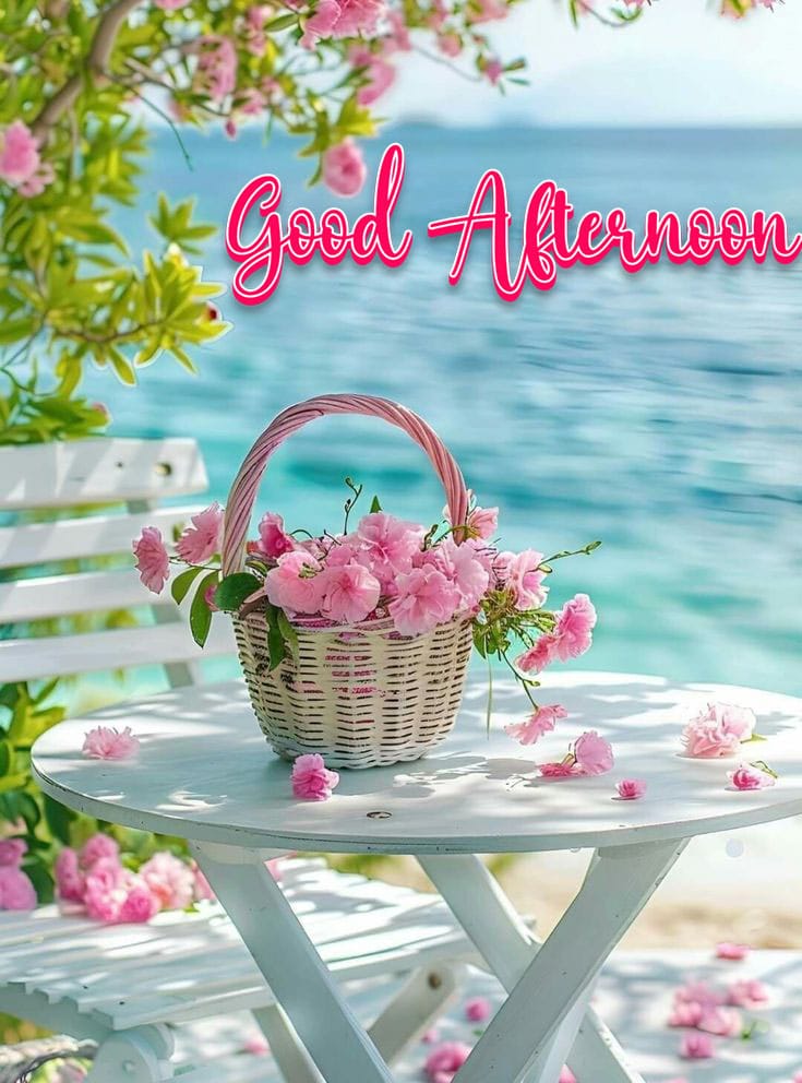 Beautiful good afternoon images