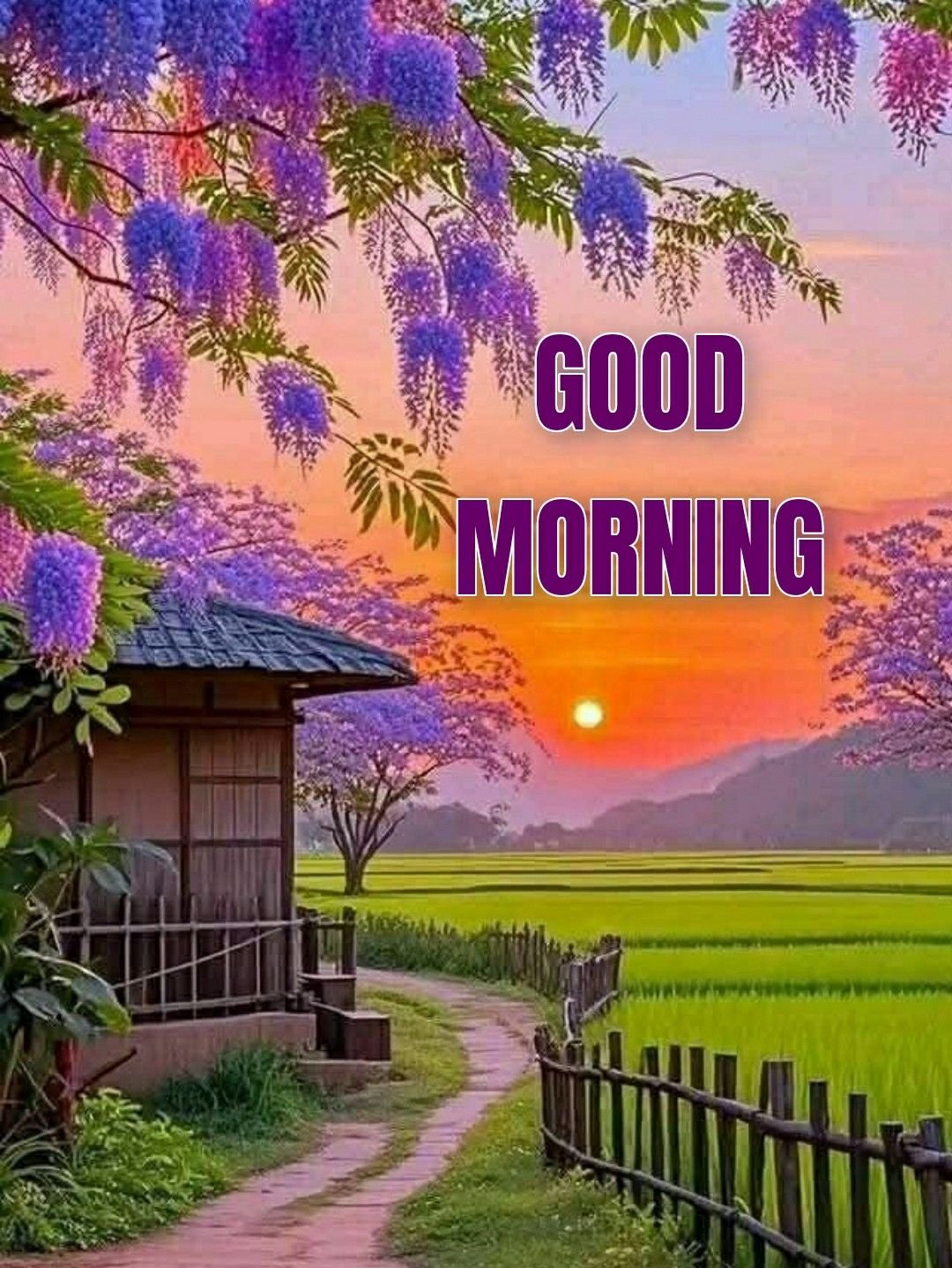 Beautiful good morning (15)