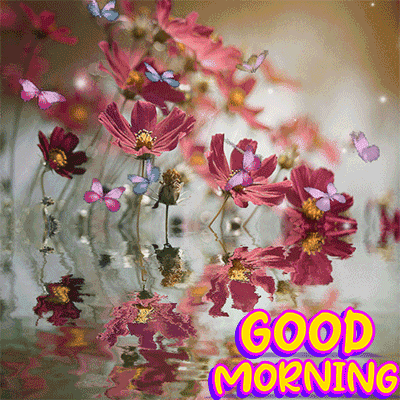 Beautiful Good Morning Butterfly Gif 7