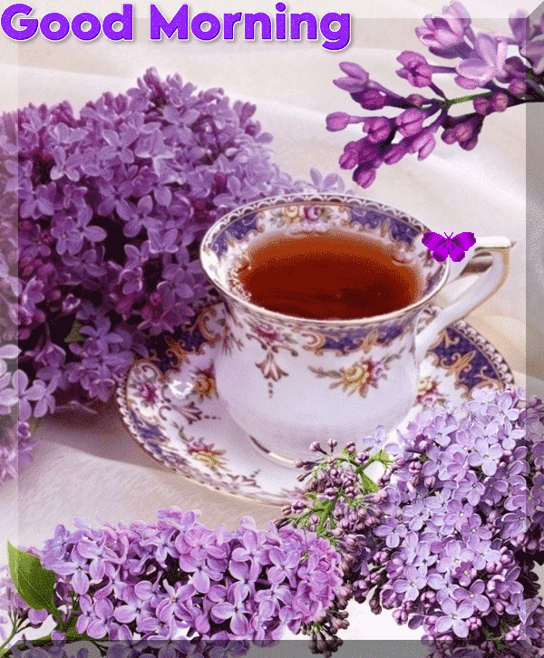Beautiful Good Morning Butterfly Gif