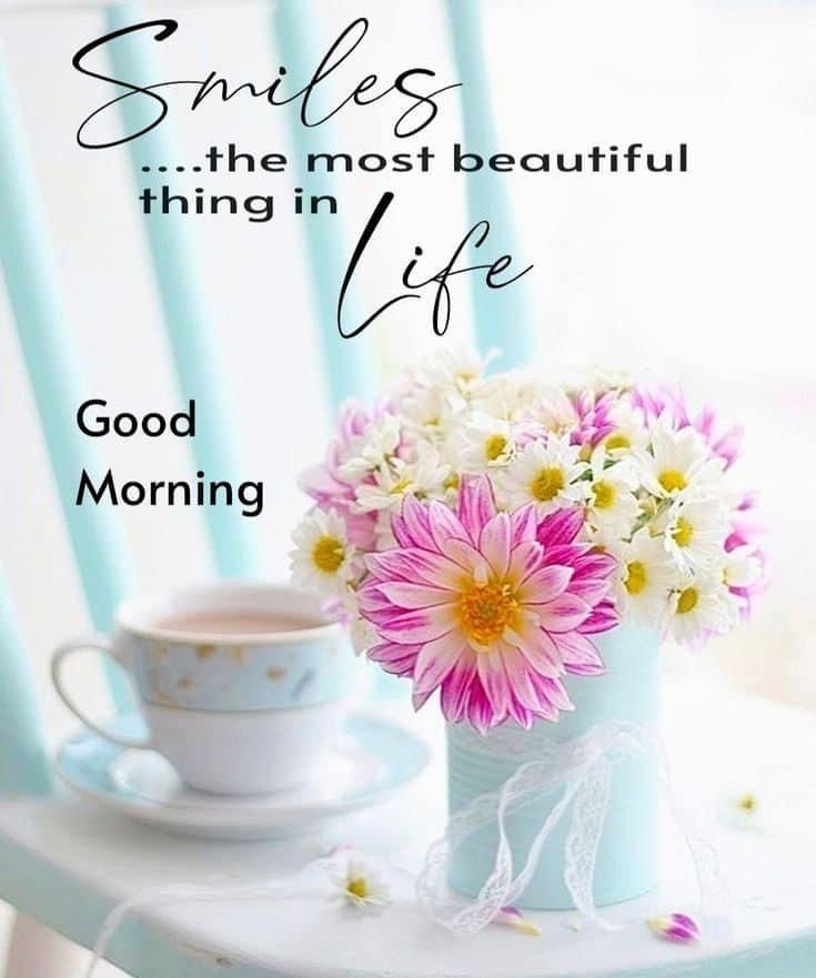 Beautiful good morning flowers pictures for whatsapp
