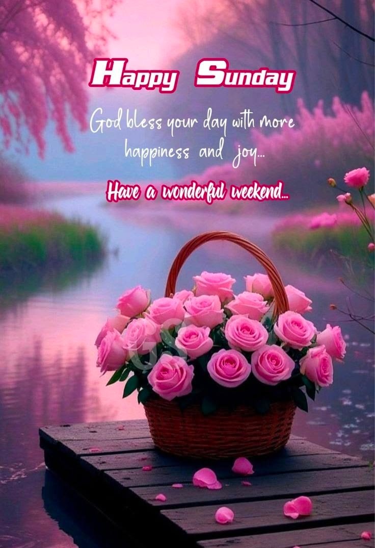 Beautiful good morning happy sunday hd images