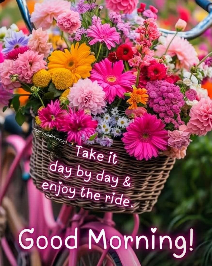 Beautiful good morning images (16)