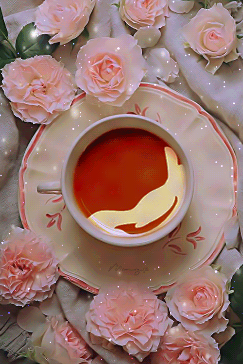 Beautiful Good Morning Images Gif Hd