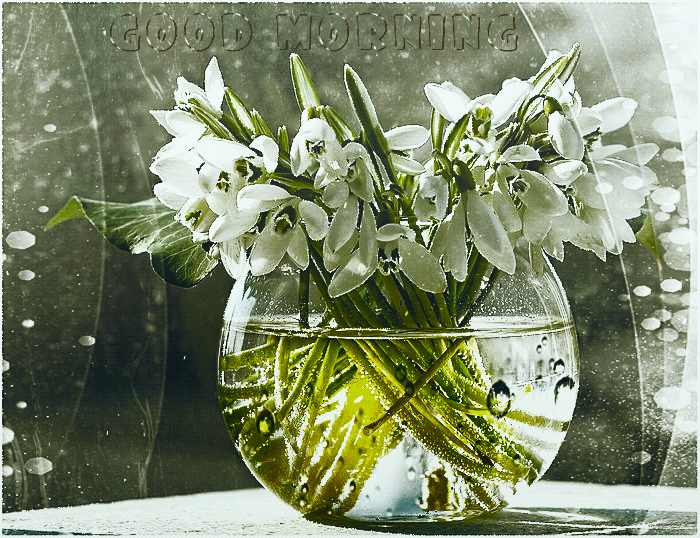 Beautiful Good Morning Images Gif Hd