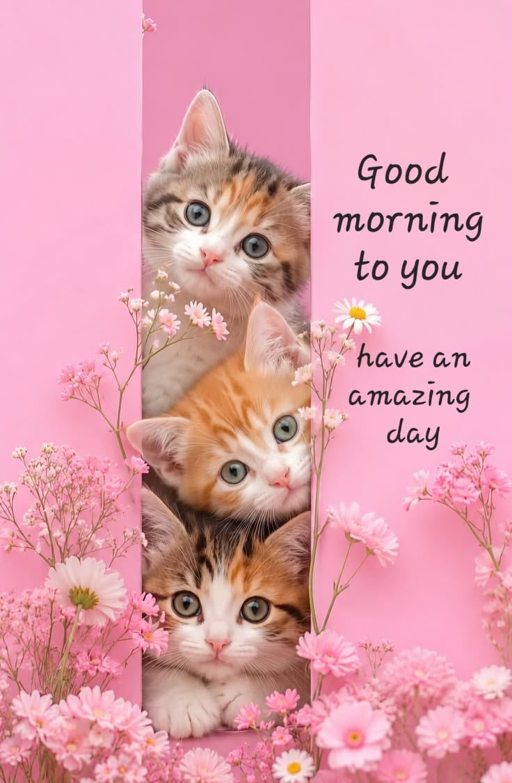Beautiful good morning images hindi new (5)