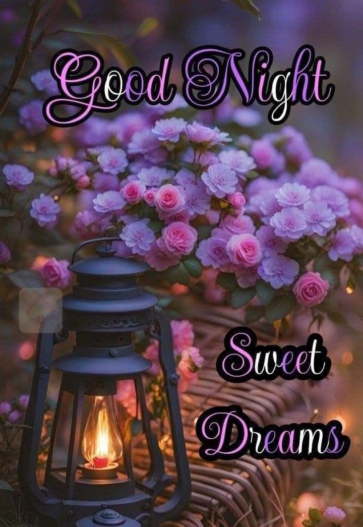 Beautiful good night images