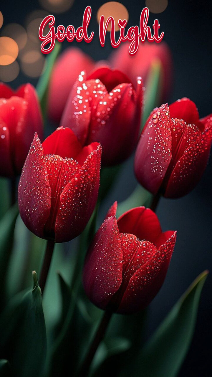Beautiful good night images new hd