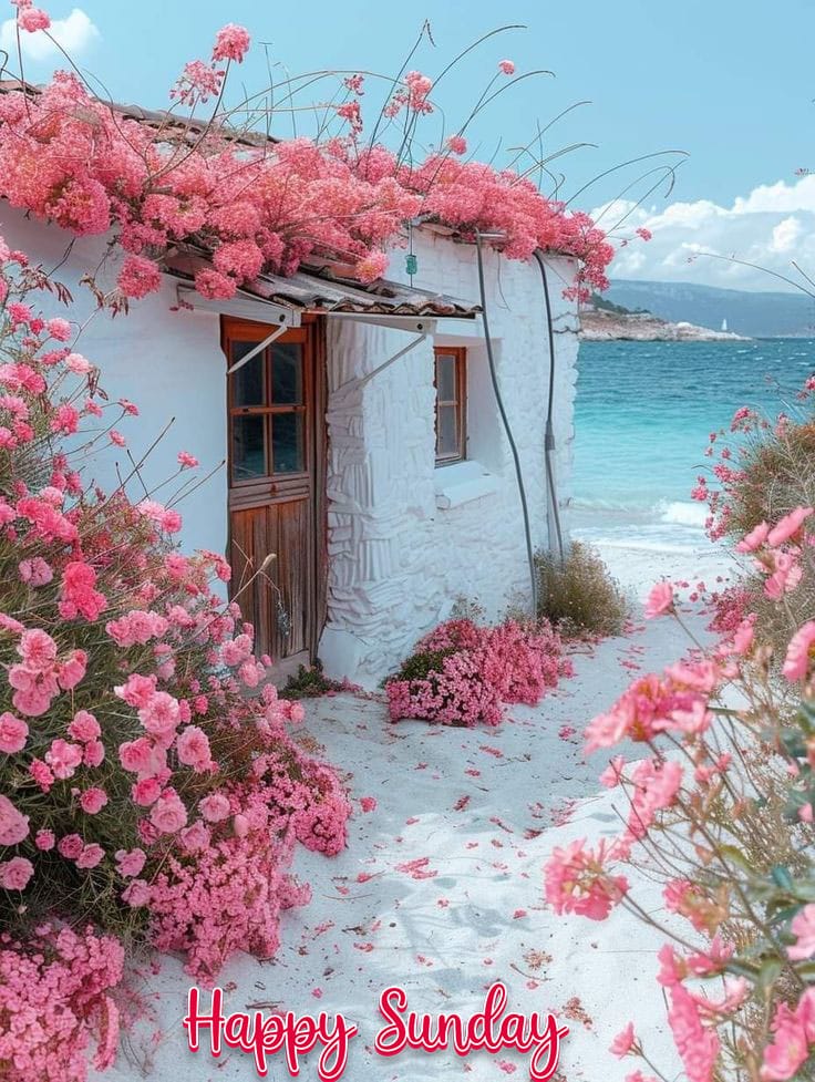 Beautiful happy sunday images