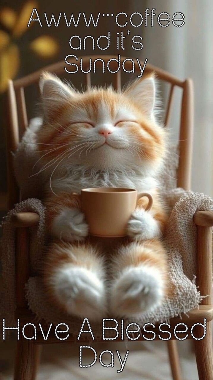 Beautiful happy sunday images funny