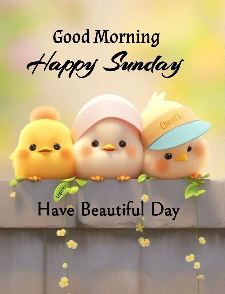 Beautiful happy sunday wishes images