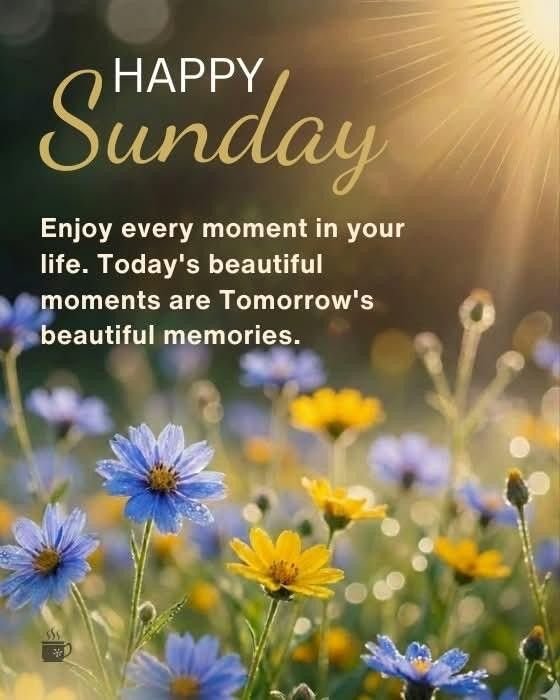 Beautiful happy sunday