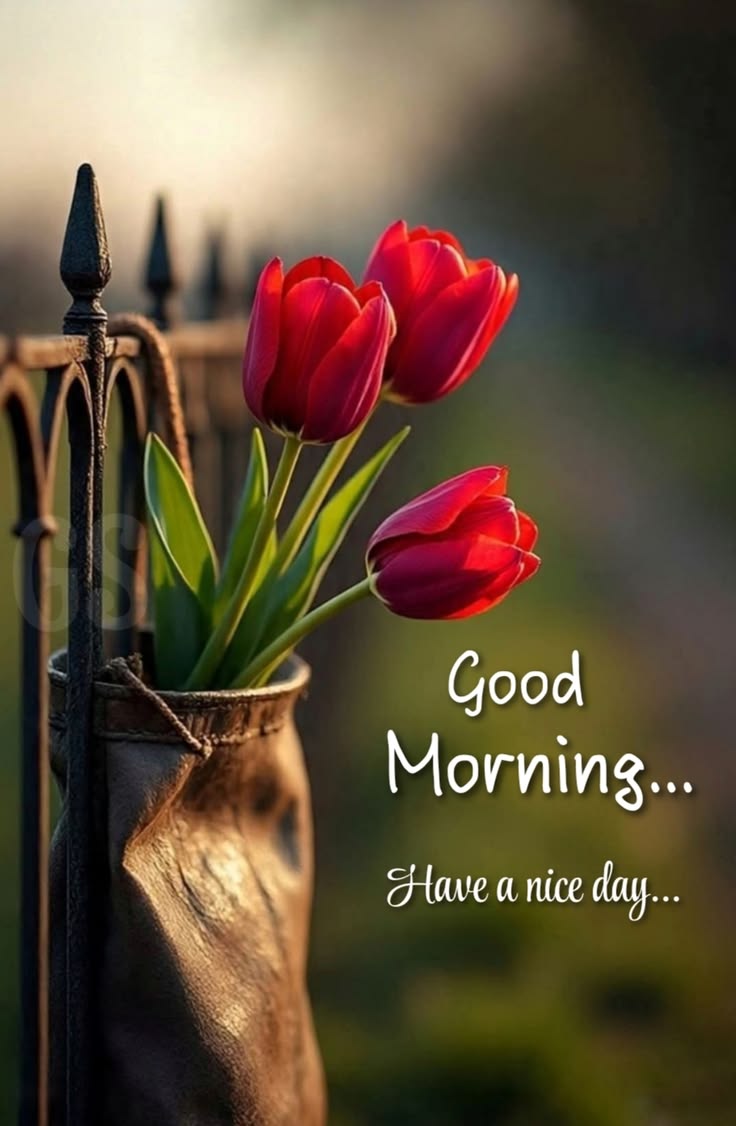 Beautiful morning images with quotes