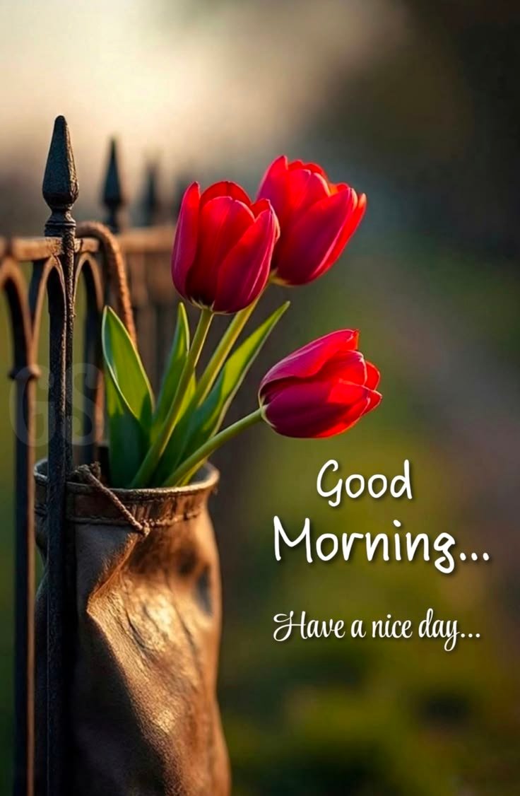 Beautiful morning images with quotes