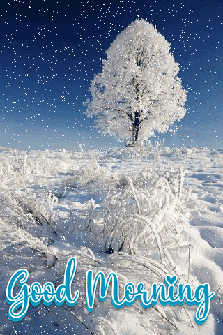Beautiful Nature Good Morning Gif For Whatsapp