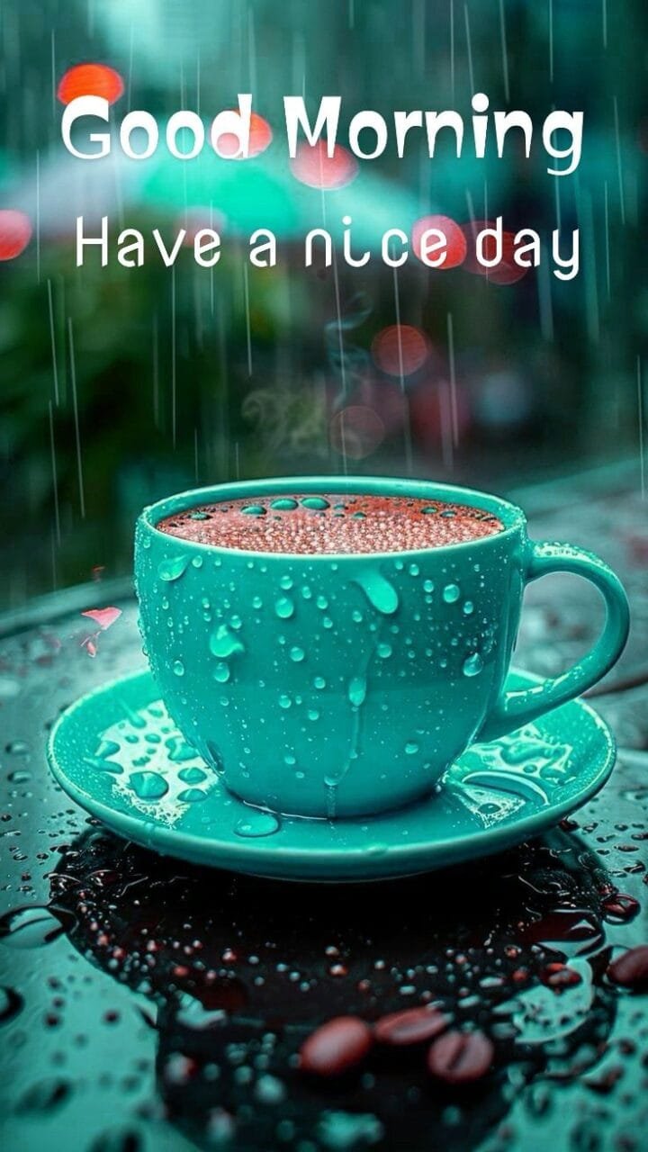 Beautiful rainy good morning images hd