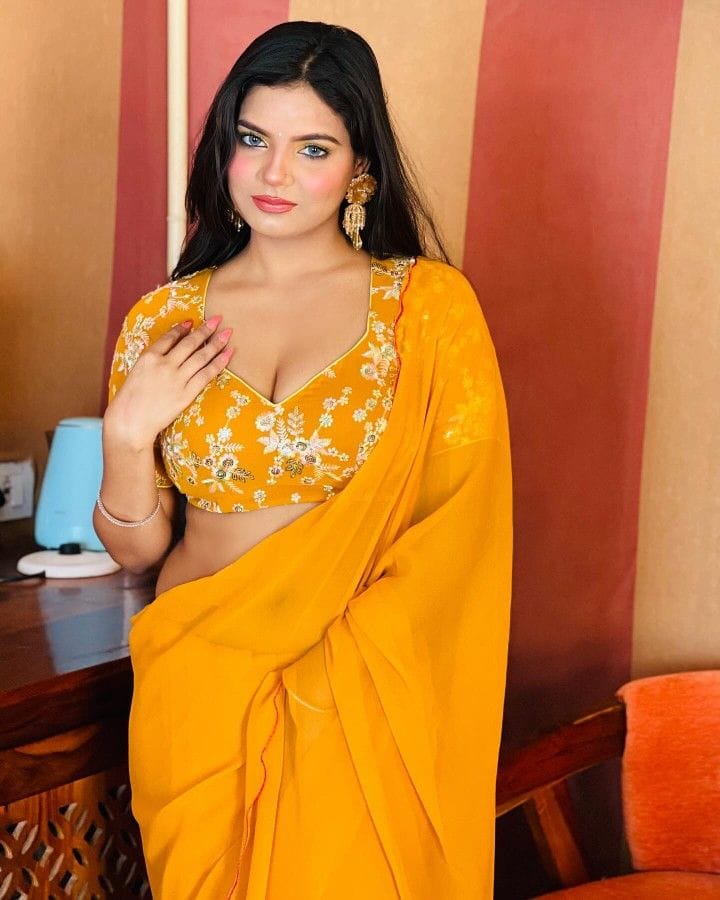 Beautiful saree girl dp new (11)