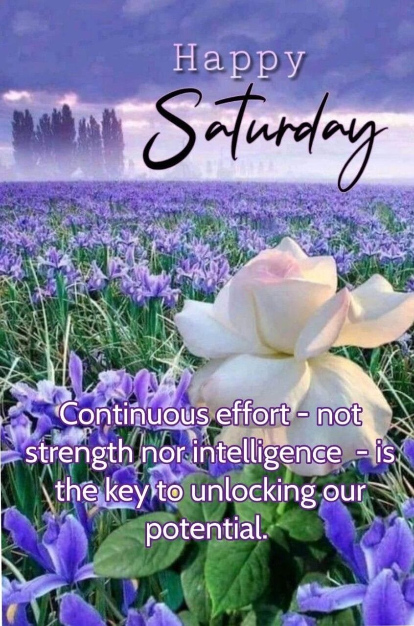 Beautiful saturday images for whatsapp