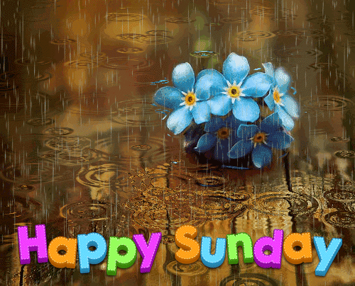 Beautiful Happy Sunday Gif For Whatsapp
