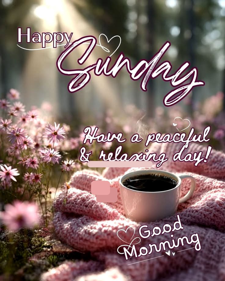 Beautiful sunday good morning wishes