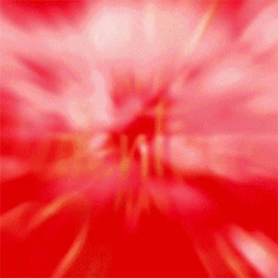 Beautiful Valentine Day Gif Images