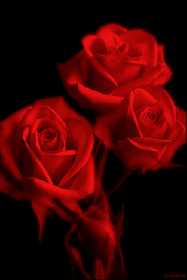 Beautiful Valentines Day Gif For Husband