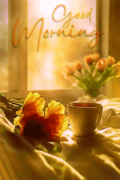 Best Good Morning Gif Hd