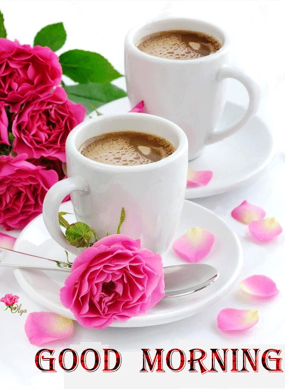 Best Good Morning Gif HD