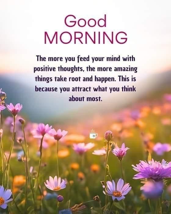 Best good morning quotes and images (8)