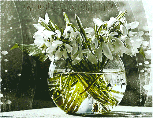 Best Happy Sunday Gif For Friends