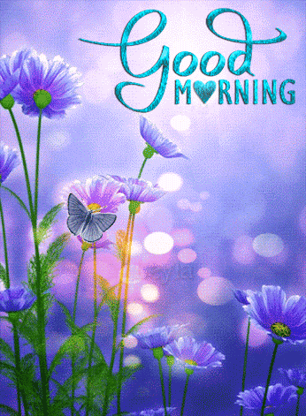 Best Morning Gifs