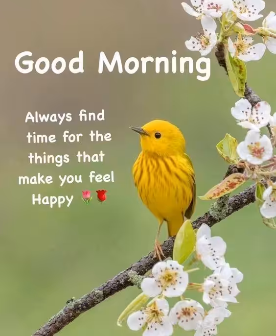 Best morning quotes