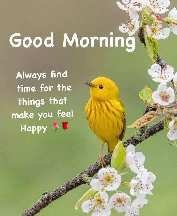 Best morning quotes
