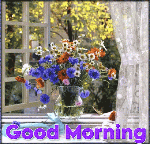 Best Nature Good Morning Gif