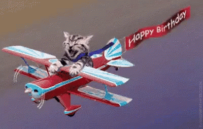 Birthday Comedy Gif
