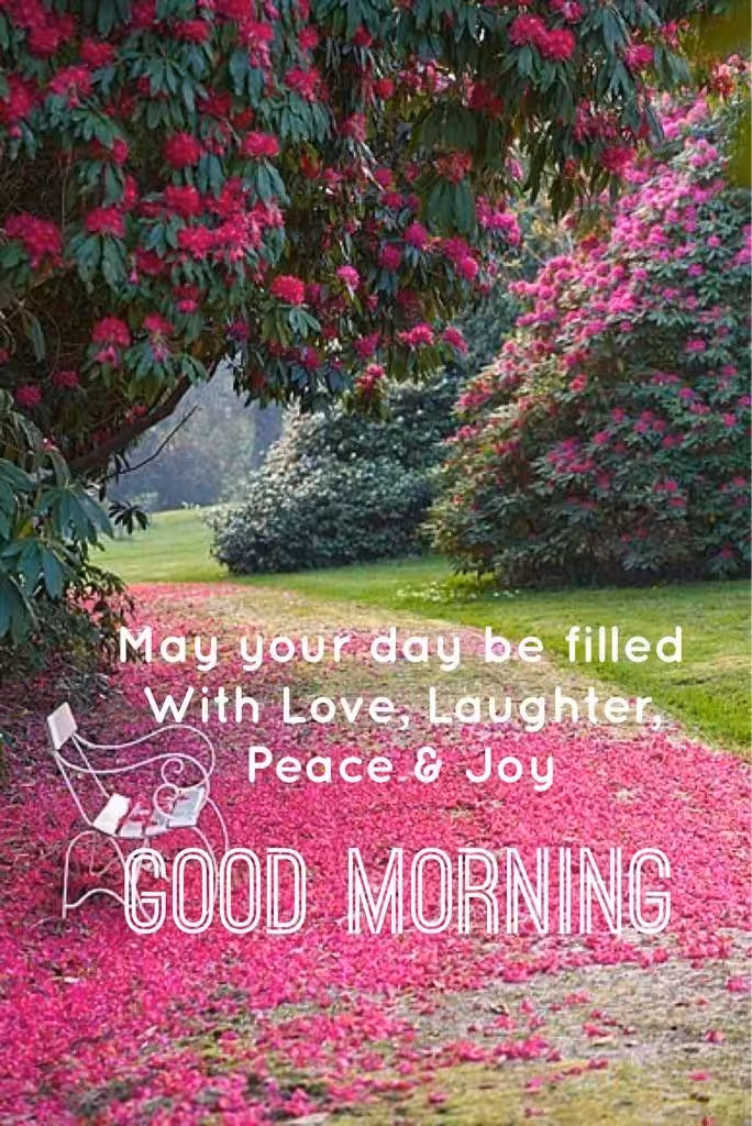 Blessing good morning