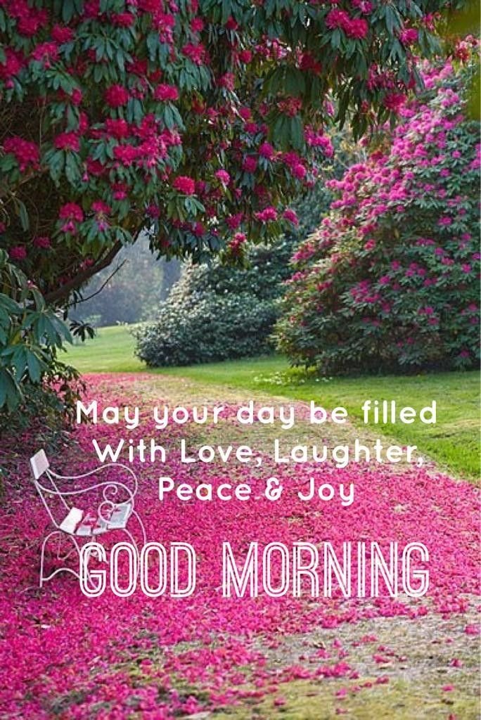 Blessing good morning