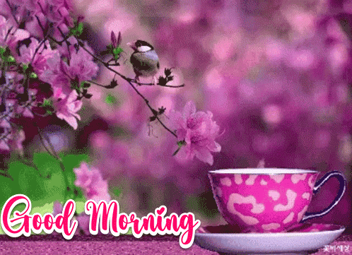 Coffee Good Morning Gif New