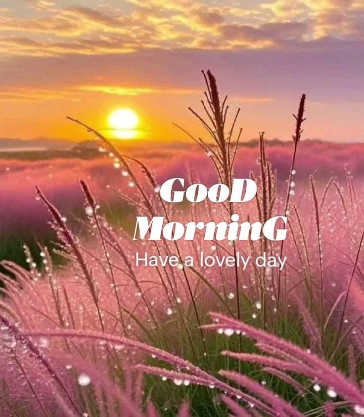 Creative good morning new style (10)