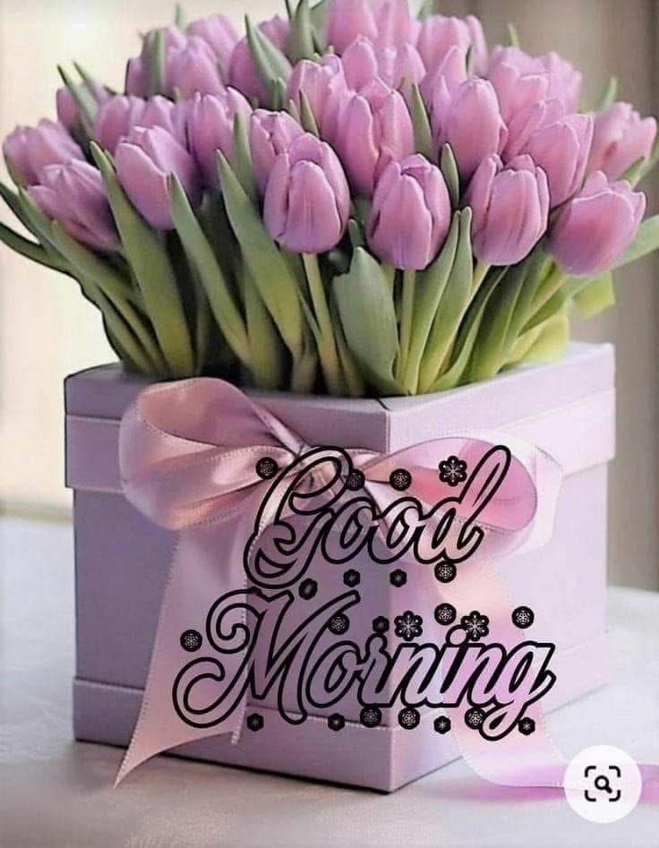 Creative good morning new style (11)
