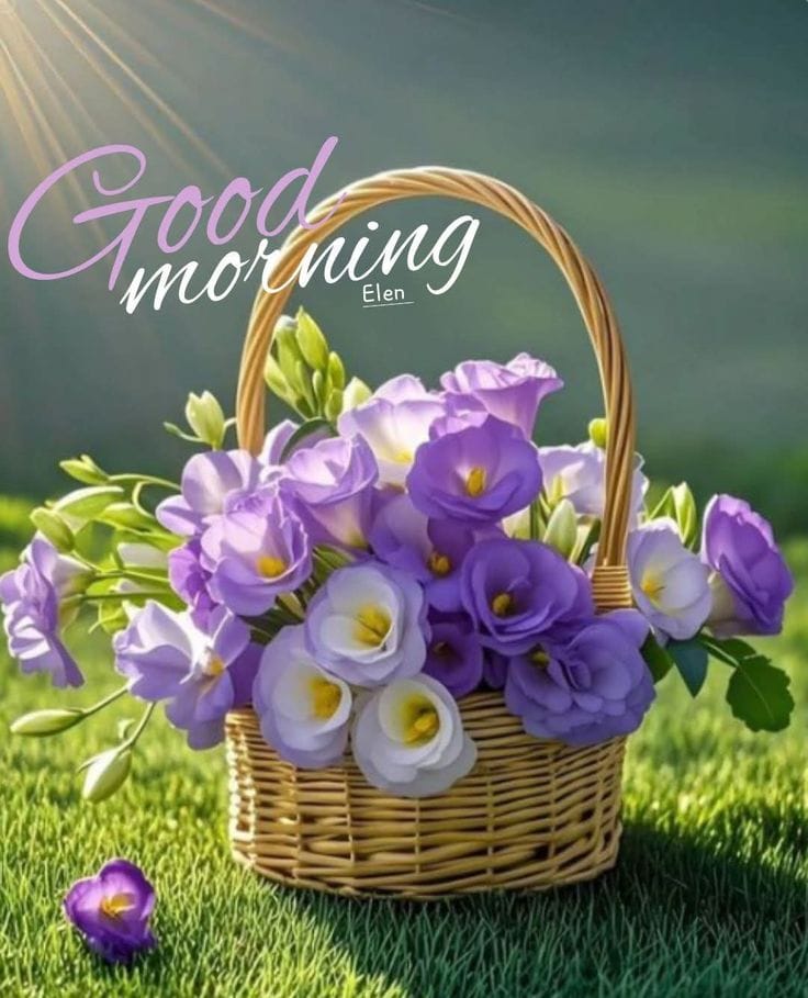 Creative good morning new style (9)