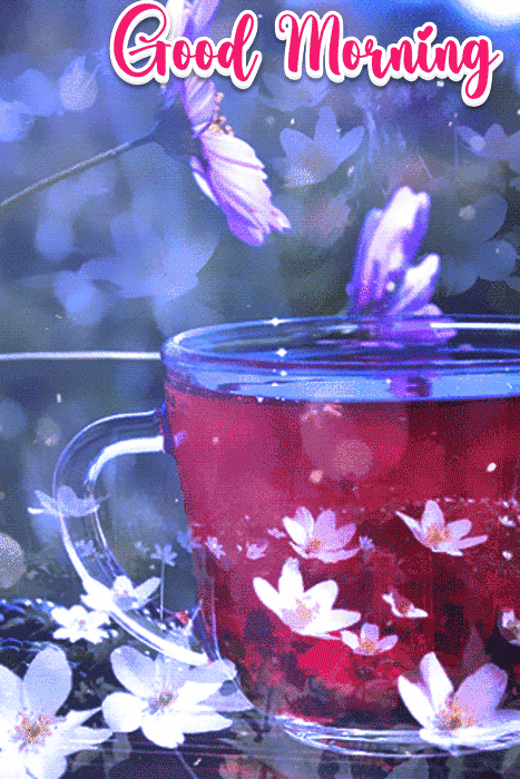 Cute Animation Good Morning Gif 13